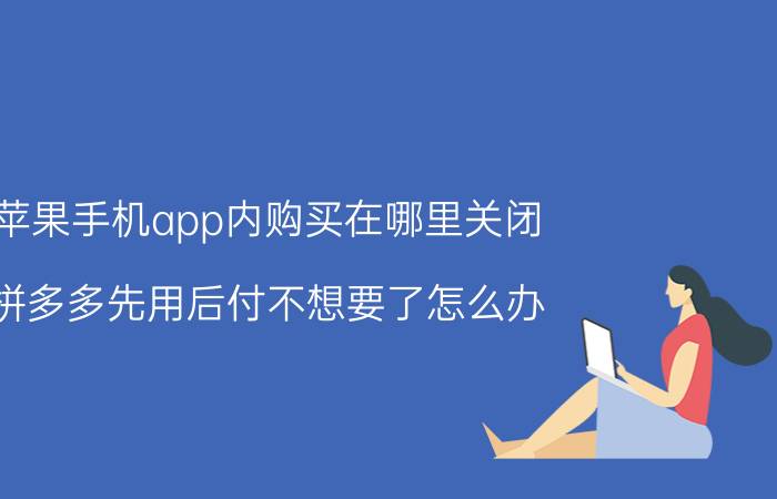 苹果手机app内购买在哪里关闭 拼多多先用后付不想要了怎么办？